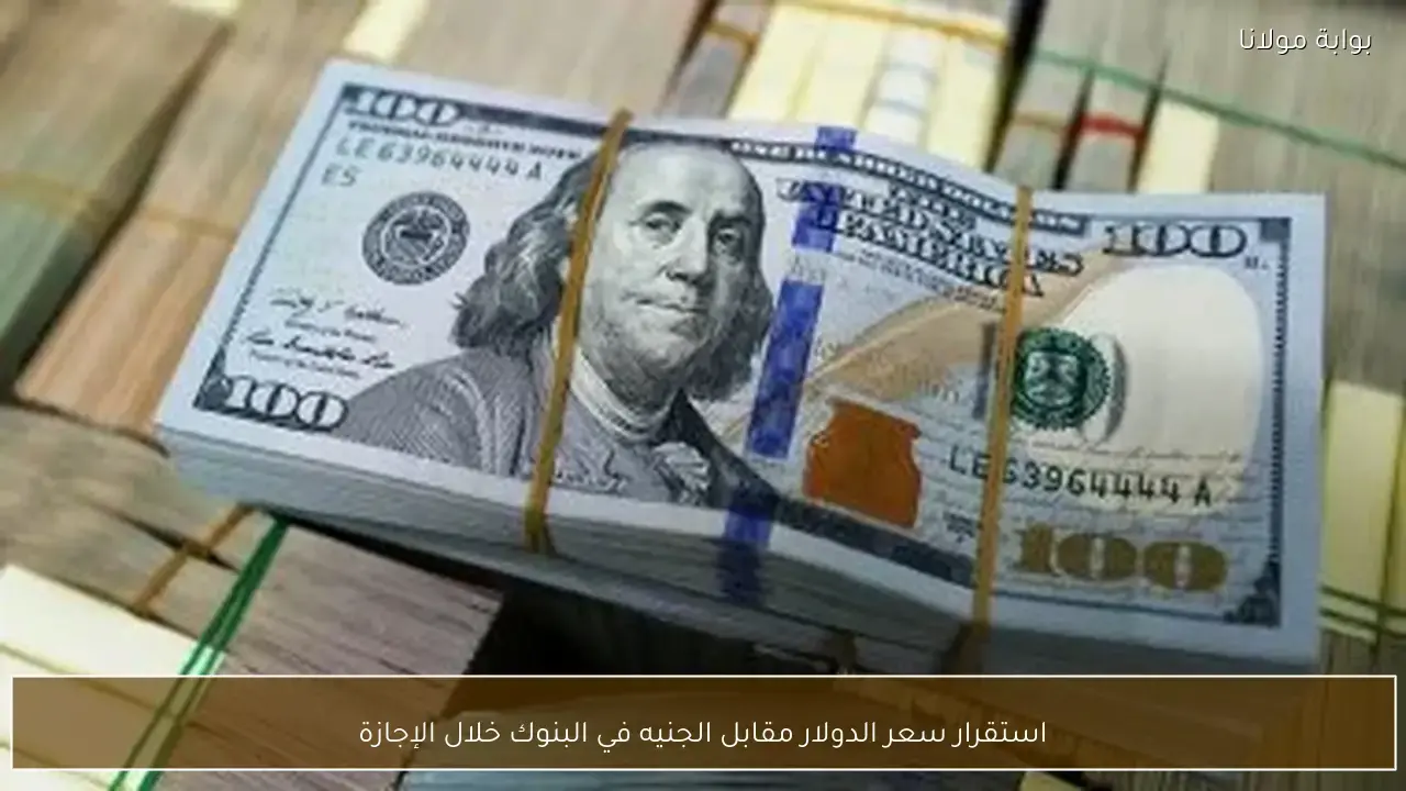 استقرار سعر الدولار مقابل الجنيه في البنوك خلال فترة الإجازة الحالية